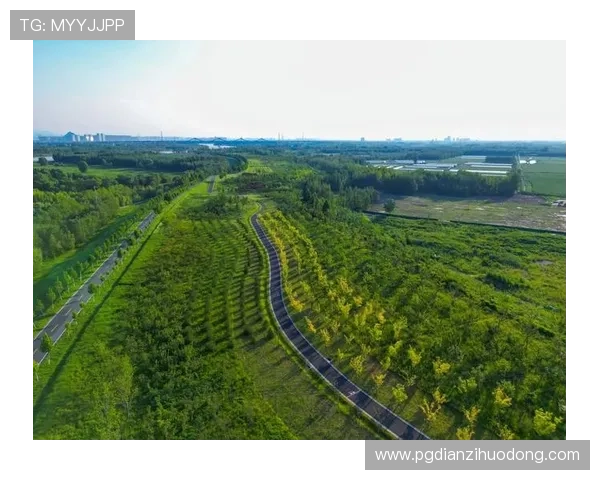 非凡国际pg娱乐电子游戏积极响应行业规范，推动绿色健康娱乐生态建设