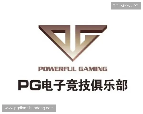 PG电子官网电脑版安全保障措施,保障玩家个人信息和资金安全的全面措施 PG电子官网电脑版安全保障措施,保障玩家个人信息和资金安全的全面措施